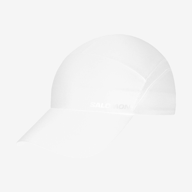 LC1896000-XA CAP