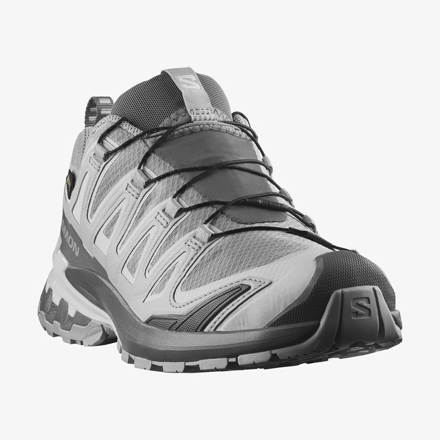 L45412000-XA PRO 3D V9 GORE-TEX