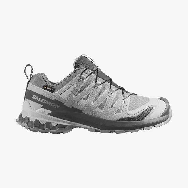 L45412000-XA PRO 3D V9 GORE-TEX