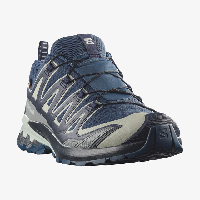L49199200-XA PRO 3D V9 GORE-TEX