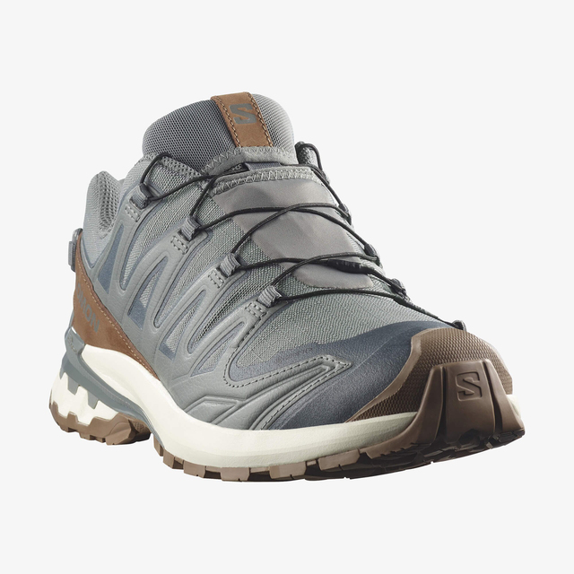 L49296100-XA PRO 3D V9 GORE-TEX LIFELONG