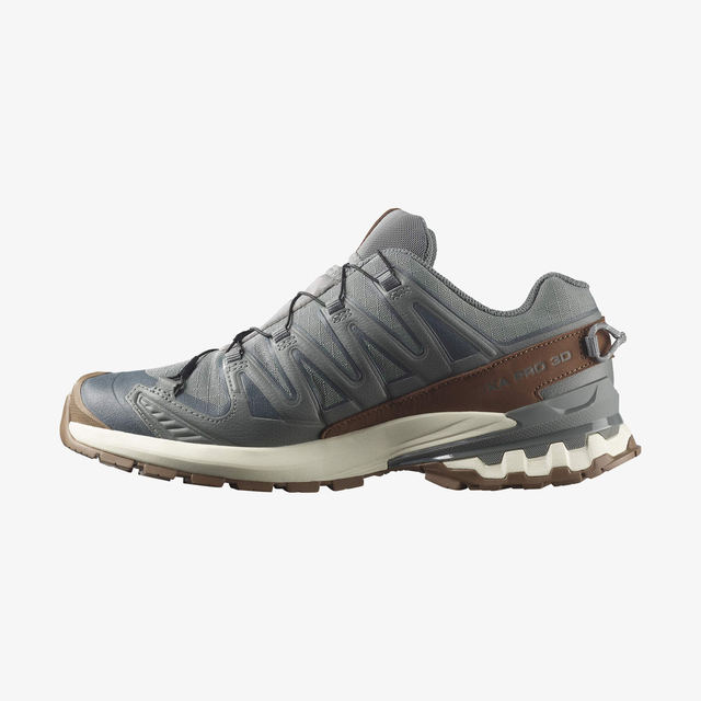 L49296100-XA PRO 3D V9 GORE-TEX LIFELONG