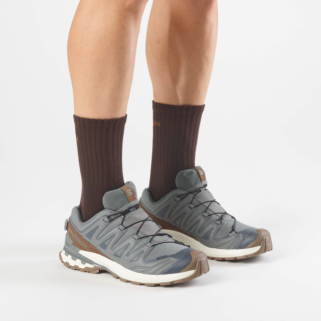 L49296100-XA PRO 3D V9 GORE-TEX LIFELONG