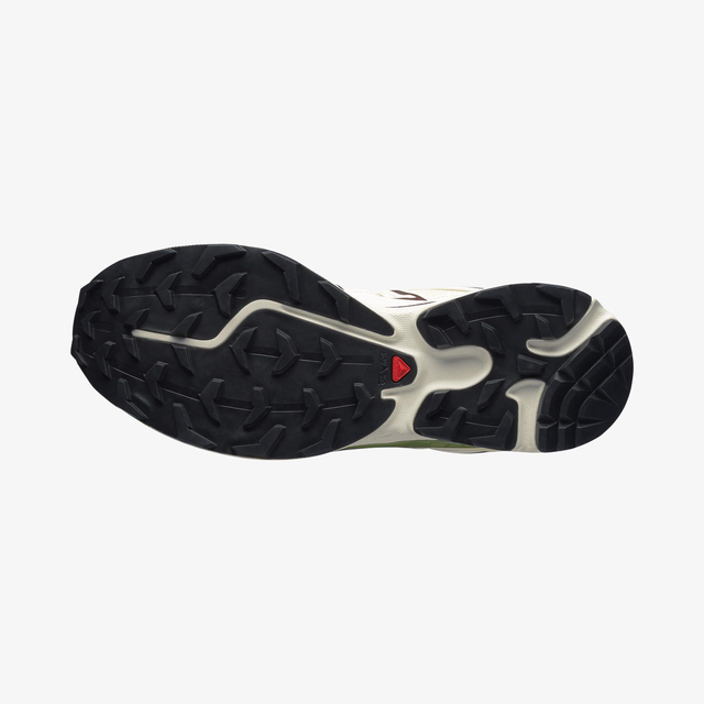 L47808500-XT-6 EXPANSE CANVAS