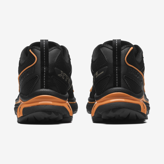 L47445700-XT-6 EXPANSE