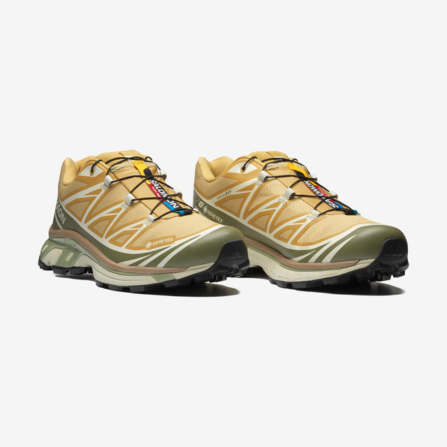 L47581000-XT-6 GTX