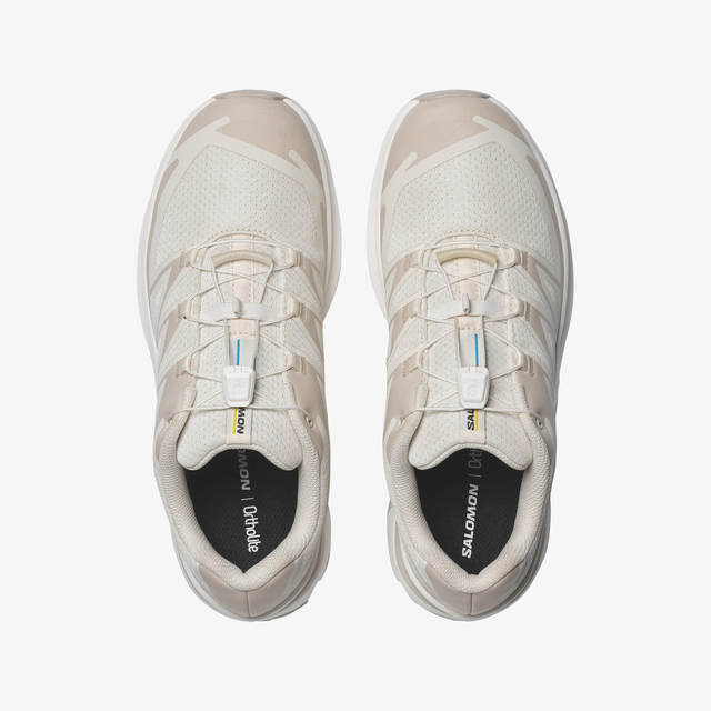 L49225700-XT-EVR W