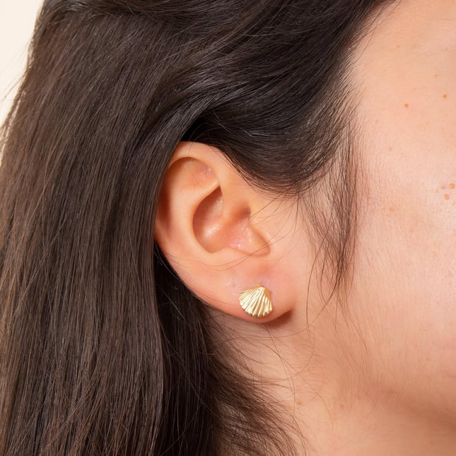 Seashell Stud Solid Gold Earring