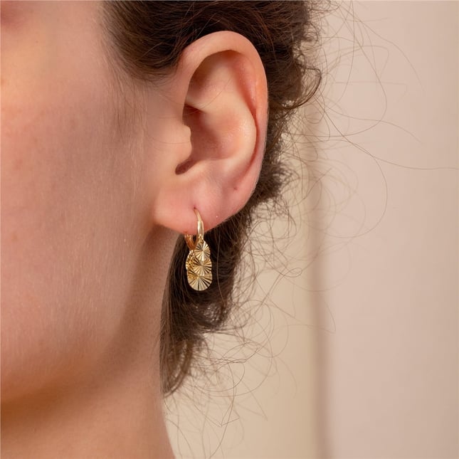 Danle Charms Huggie Solid Gold Earring