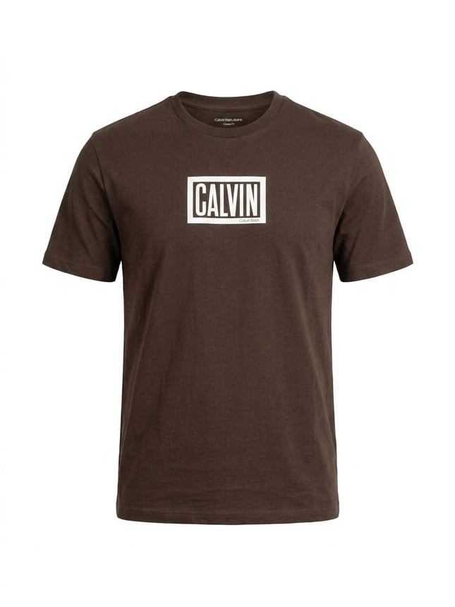 Calvin Klein Erkek Regular Fit Kutu Logo Grafik Baskılı Bisiklet Yaka Kısa Kollu Kahverengi T-Shirt LV04RH818G-WFM