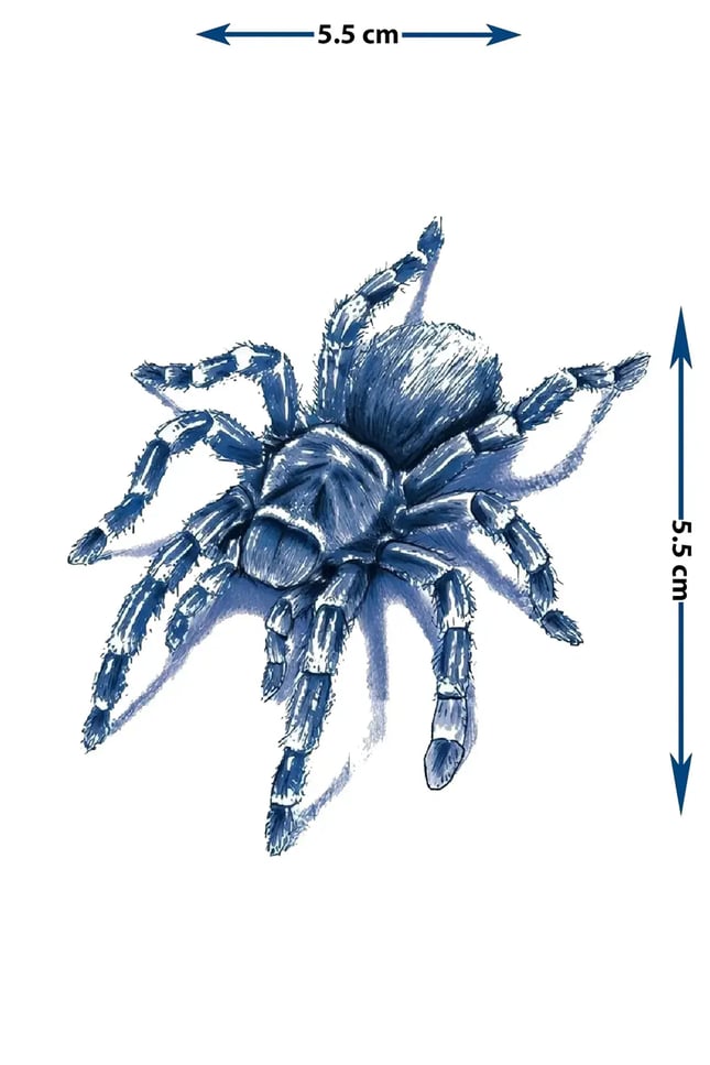 3D Gerçekçi Örümcek (Tarantula) Yarı Kalıcı Dövme / 1 Ay Kalıcı - Gölgeli ve Boyutlu Geçici Sırt Dövmesi