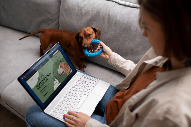 Online Petshop Kargo Süresi – PETASYA