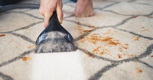 Bissell SpotClean Pro Halı - Koltuk Yıkama ve Leke Çıkarma Makinesi