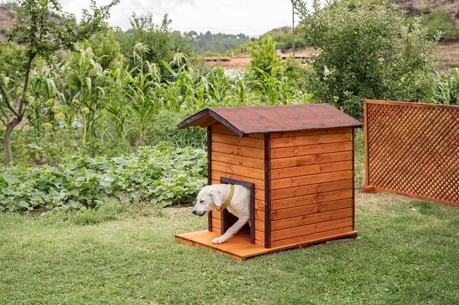 Alaçam Ahşap Köpek Kulübesi