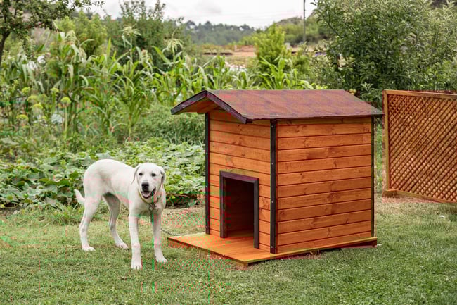 Alaçam Ahşap Köpek Kulübesi