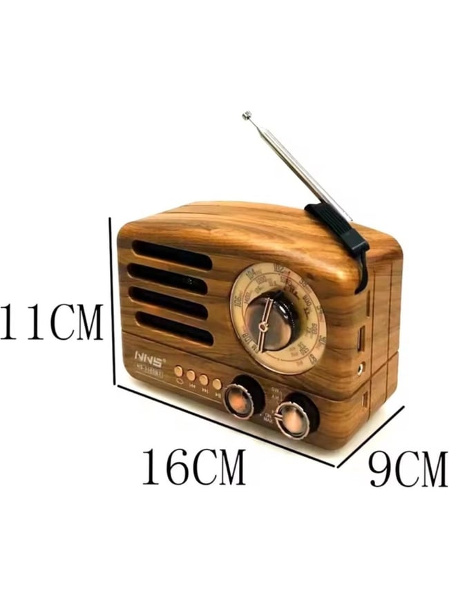 And Ns-3380 Bt FM Radyo Speaker
