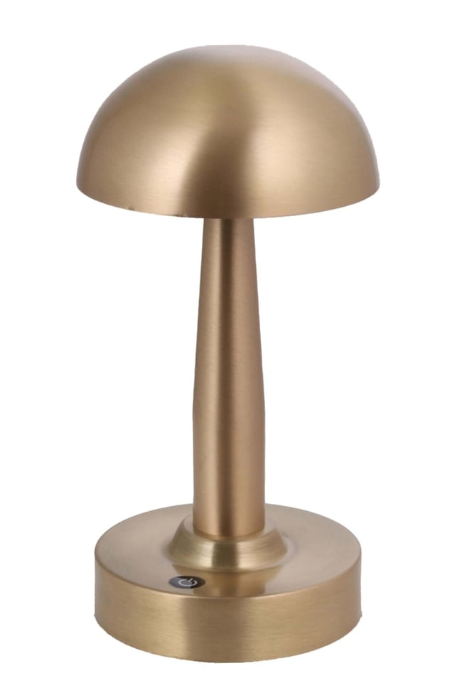 Avonni ML-64004-E Eskitme Kaplama Masa Lambası LED Metal Pleksi 12 cm