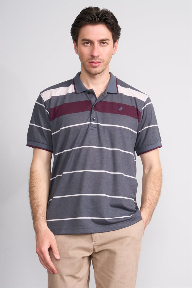 Çetinkaya Chester Polo 4739 Polo Yaka Regular Ringel Pike T-shirt Füme