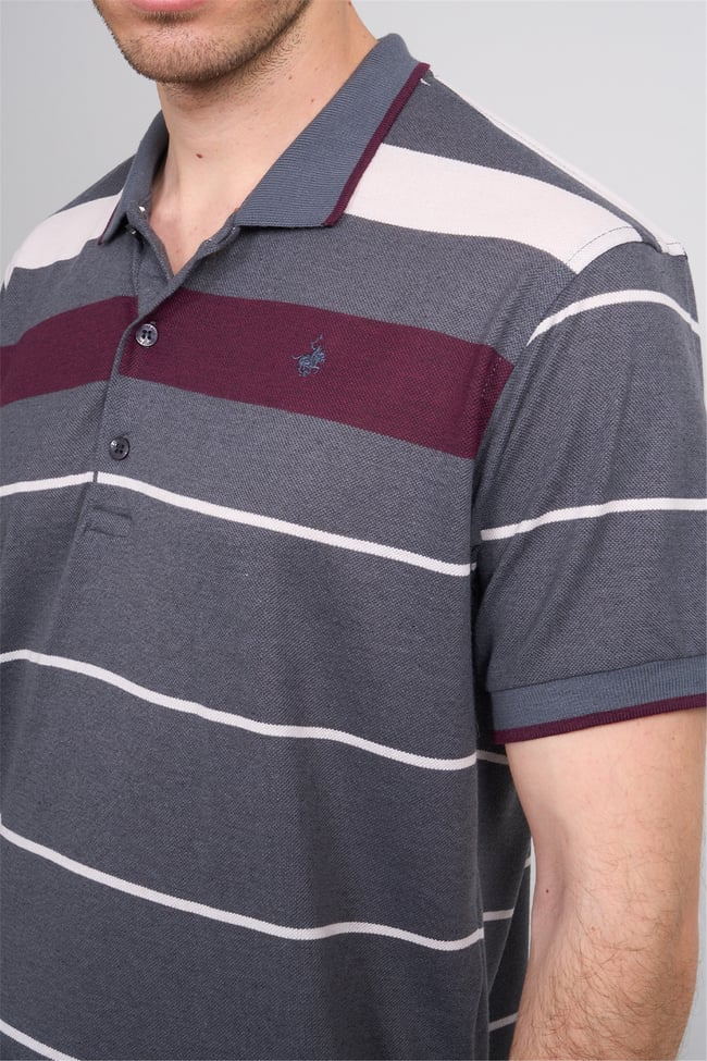 Çetinkaya Chester Polo 4739 Polo Yaka Regular Ringel Pike T-shirt Füme