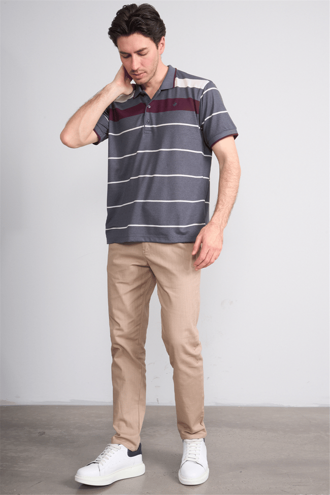 Çetinkaya Chester Polo 4739 Polo Yaka Regular Ringel Pike T-shirt Füme
