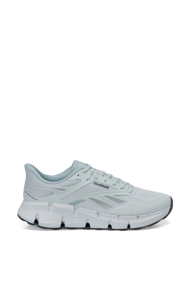Reebok A10227032610010 6M Zıg Dynamıca 6 Grı Erkek Kosu Ayakkabısı