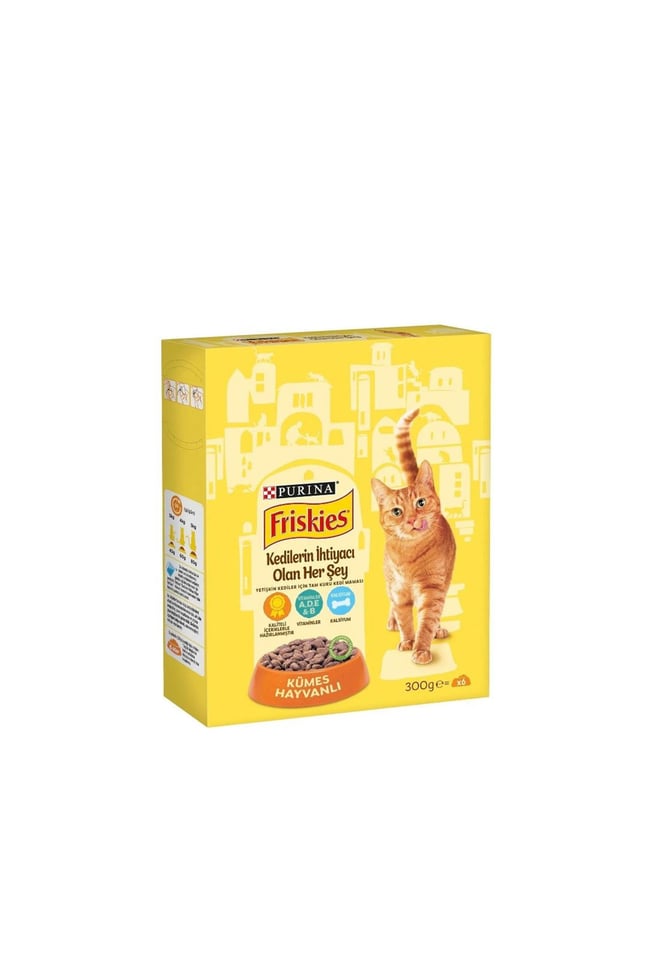 FRISKES 300 GR KEDI MAMASI TAVUKLU