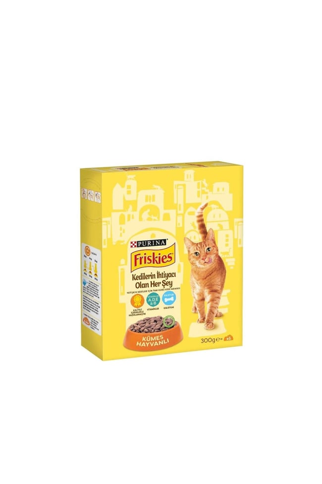 FRISKES 300 GR KEDI MAMASI TAVUKLU