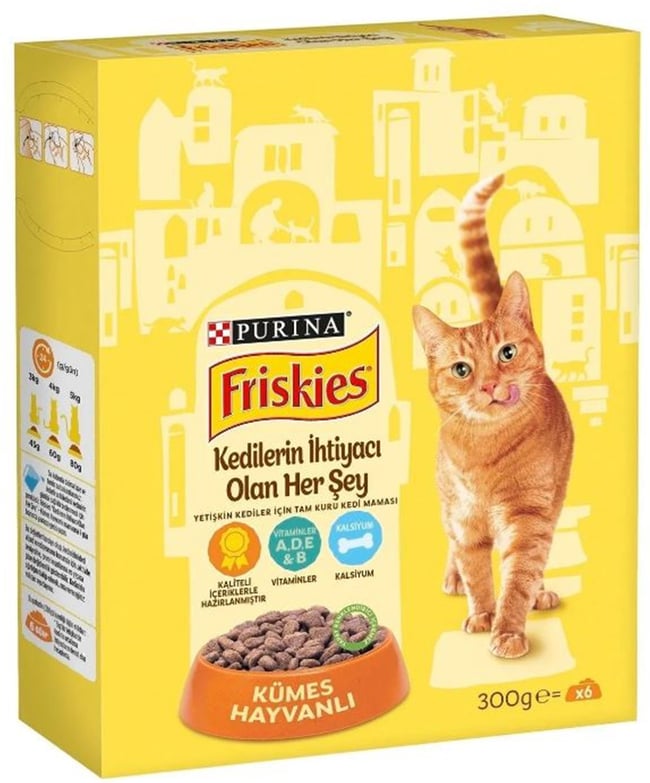 FRISKES 300 GR KEDI MAMASI TAVUKLU