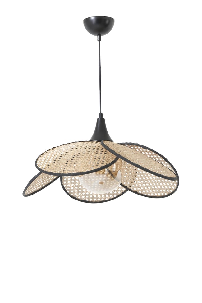 Lumexx Pervane Tekli Camlı Rattan Sarkıt