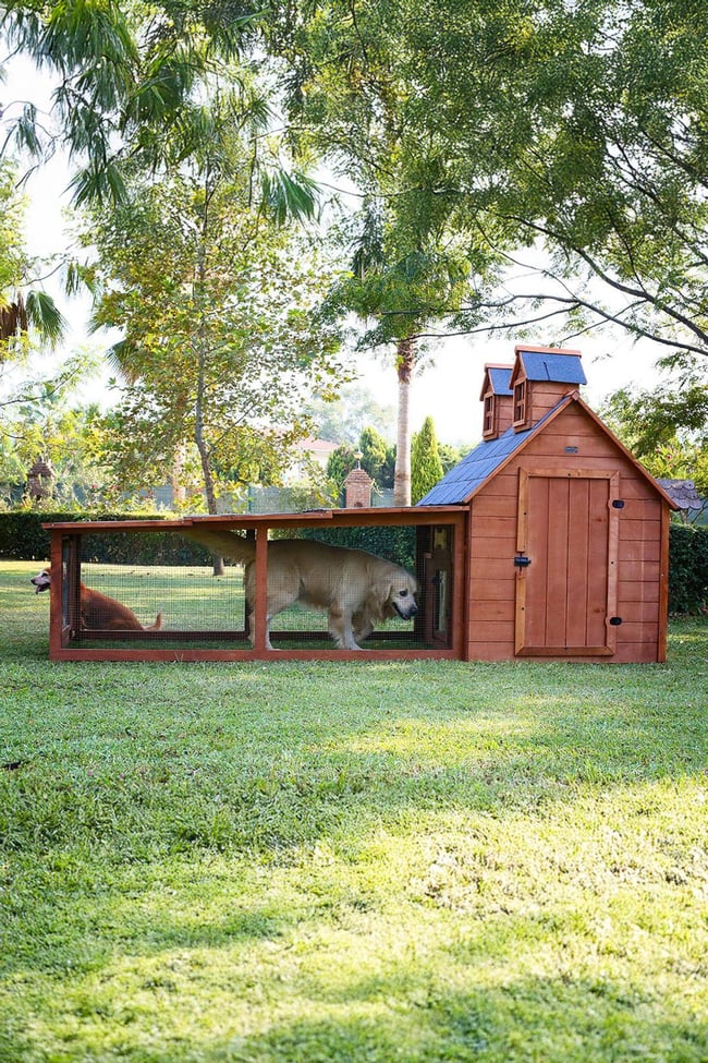 Mandu Bahçeli Ultra Lüks Ahşap Köpek Kulübesi (evi) MND105