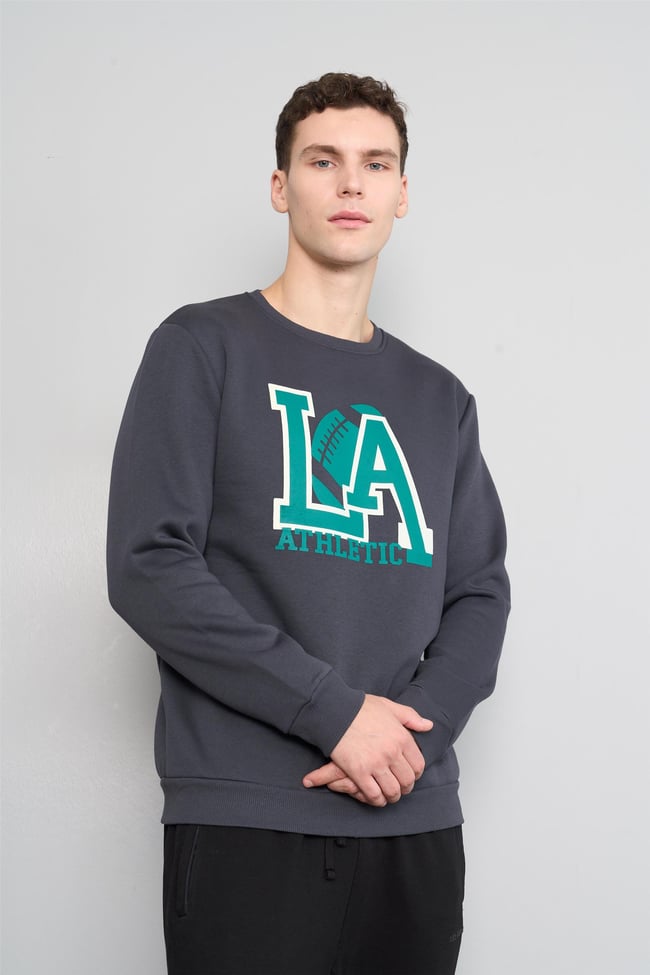 Mentality 3539 Bisiklet Yaka 3 İplik Şardonlu Baskılı Açık Lacivert Sweatshirt