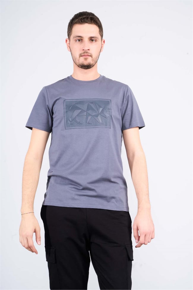 Mentality 4097 Erkek Bisiklet Yaka Baskılı Regular T-shirt Antrasit