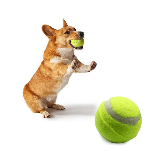 Petcraft Köpek Diş Halatı Toplu