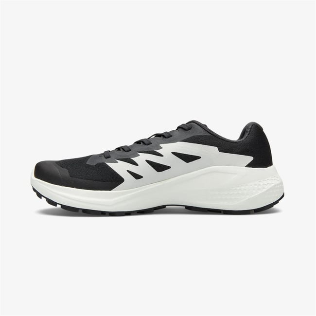 Salomon Alphaglıde 5895 Black-Phantom-Icıcle Erkek Patika Koşu Ayakkabısı