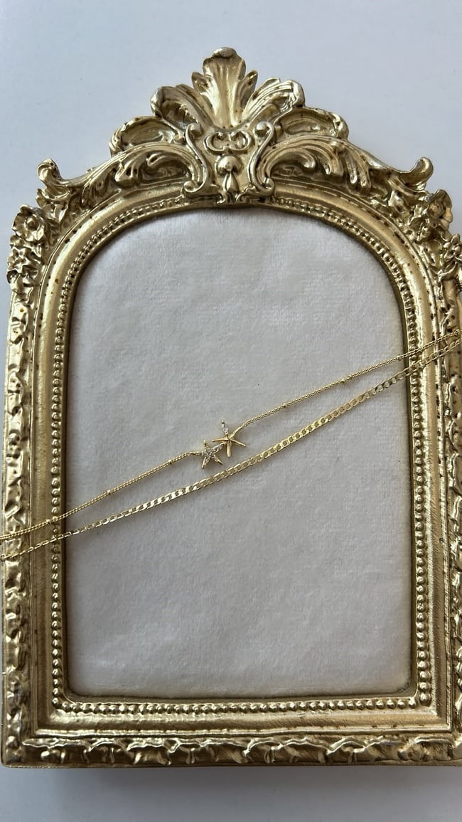 Özel Seri 14K Gold Deniz Yıldızlı 2'Lİ Halhal 25cm
