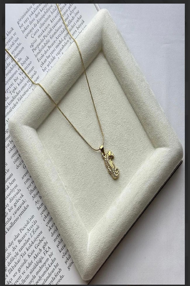 Kadın Çelik Kolye Deniz Atı Detay Pinterest Kararmaz Kolye 