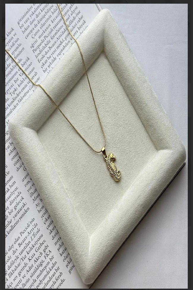 Kadın Çelik Kolye Deniz Atı Detay Pinterest Kararmaz Kolye 