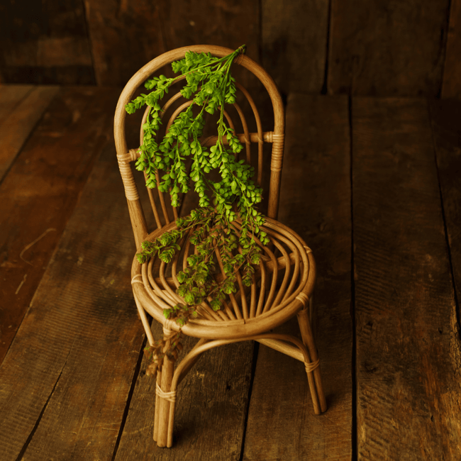 Rattan Gökkuşağı Sandalye