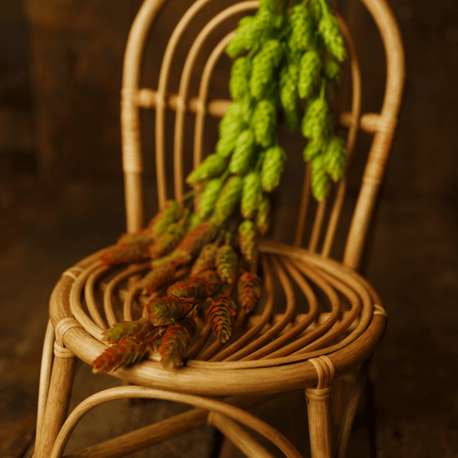 Rattan Gökkuşağı Sandalye
