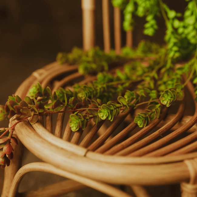 Rattan Gökkuşağı Sandalye
