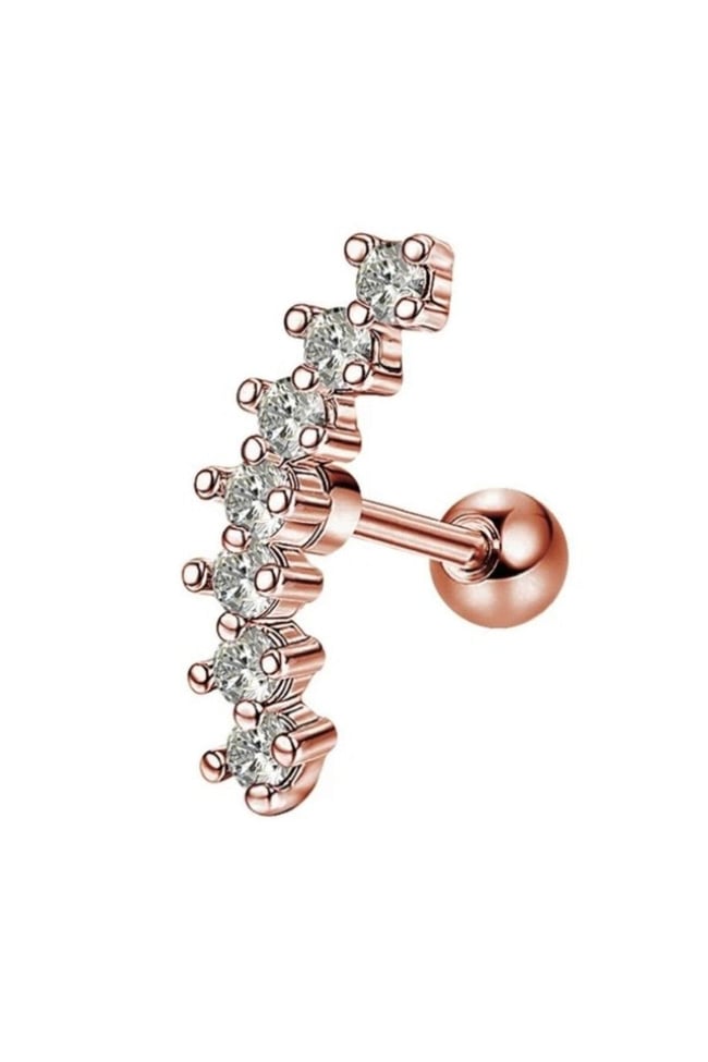 Helix Küpe Piercing Cerrahi Çelik 316l Roz Renk 1 Adet