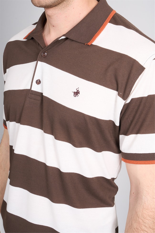 Çetinkaya Chester Polo 4111 Polo Yaka Regular Pike T-shirt Kahve