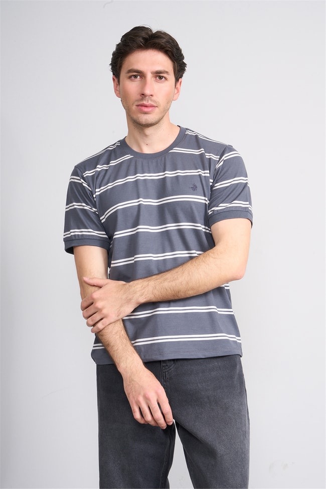 Çetinkaya Chester Polo 4720 Bisiklet Yaka Regular Ringel Süprem T-shirt Füme