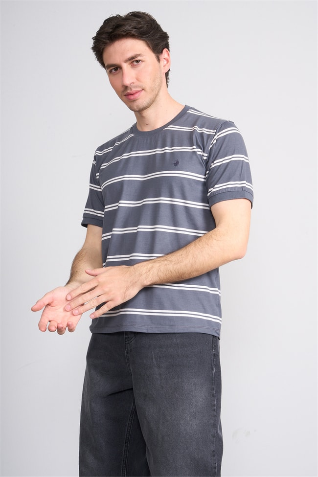 Çetinkaya Chester Polo 4720 Bisiklet Yaka Regular Ringel Süprem T-shirt Füme