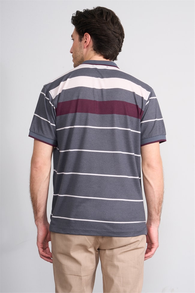 Çetinkaya Chester Polo 4739 Polo Yaka Regular Ringel Pike T-shirt Füme