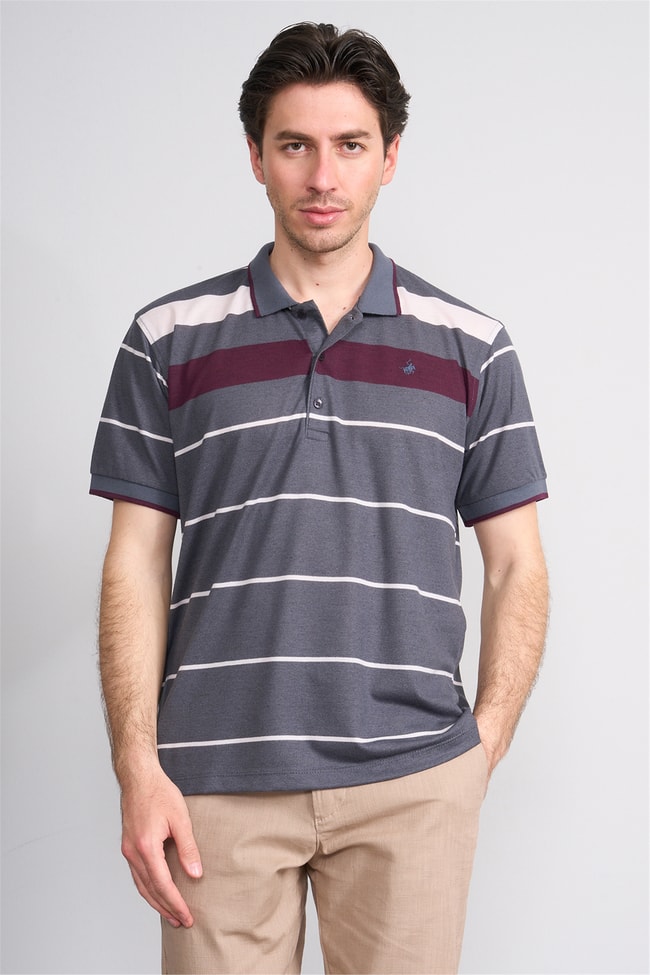 Çetinkaya Chester Polo 4739 Polo Yaka Regular Ringel Pike T-shirt Füme