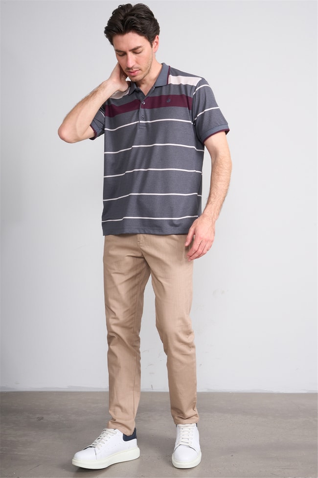 Çetinkaya Chester Polo 4739 Polo Yaka Regular Ringel Pike T-shirt Füme