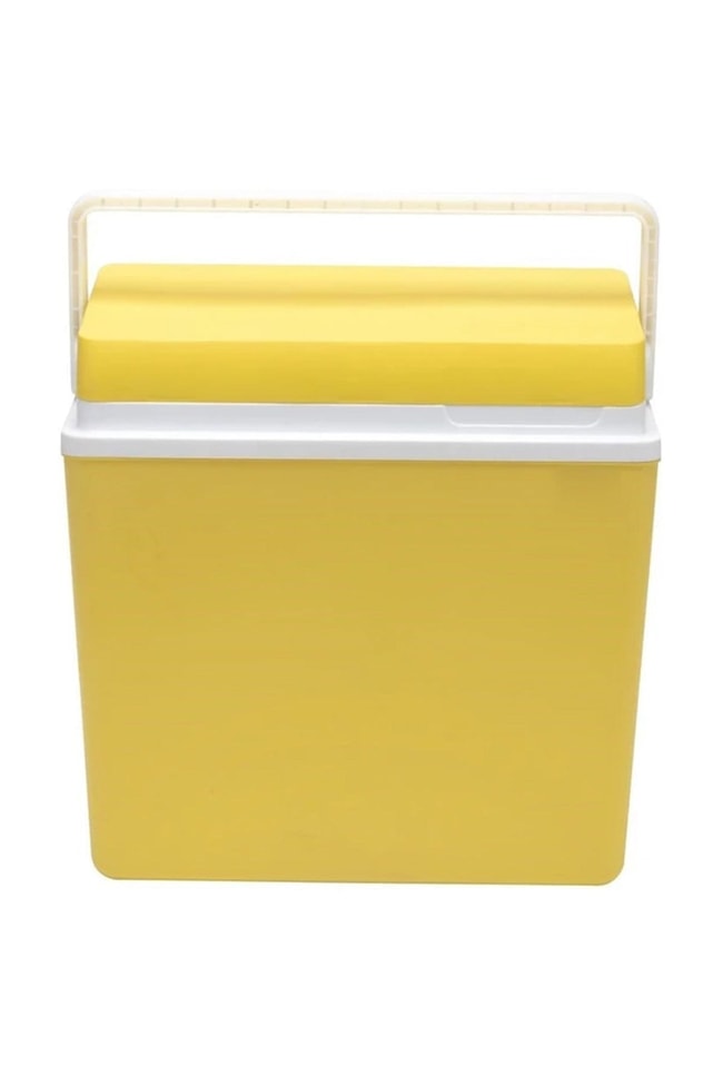 Icepeak SF25 Buzluk 25 Litre-SARI