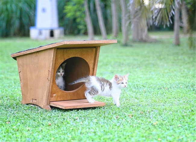 Mandu Ahşap Mini Kedi Evi (Yeni Doğan Evi)-Mnd215