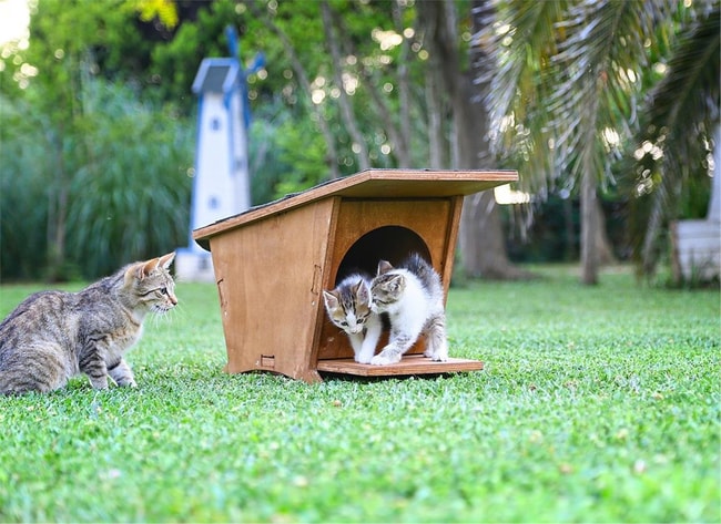 Mandu Ahşap Mini Kedi Evi (Yeni Doğan Evi)-Mnd215